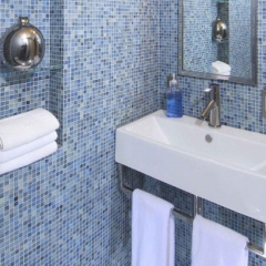 22)ArkansasBlueShower