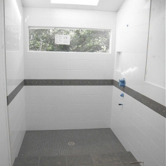 45)BrooklineMasterShower