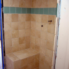 53)NelsonShower
