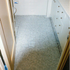 24)JacksonFloor